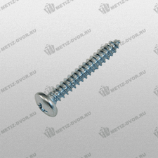Шуруп с полукруглой головкой 4,8x38  оцинкованный DIN 7981