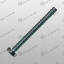 Винт с полуцилиндрической головкой 6x55 DIN 7985